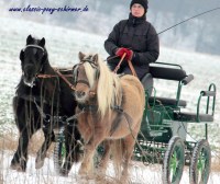 Classic Pony Schirmer Ausfahrt Leo & Life