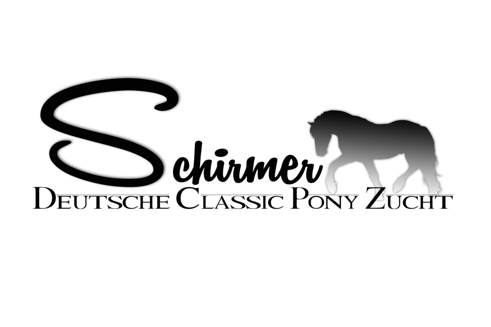 Classic Pony Schirmer Logo schwarz
